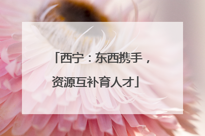 西宁：东西携手，资源互补育人才