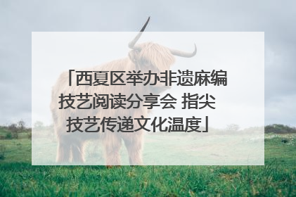 西夏区举办非遗麻编技艺阅读分享会 指尖技艺传递文化温度