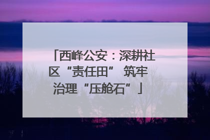 西峰公安：深耕社区“责任田” 筑牢治理“压舱石”