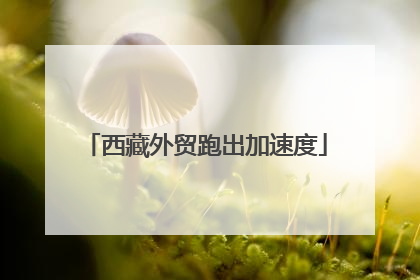西藏外贸跑出加速度