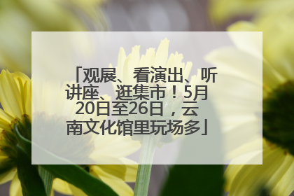 观展、看演出、听讲座、逛集市！5月20日至26日，云南文化馆里玩场多