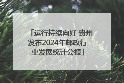运行持续向好 贵州发布2024年邮政行业发展统计公报