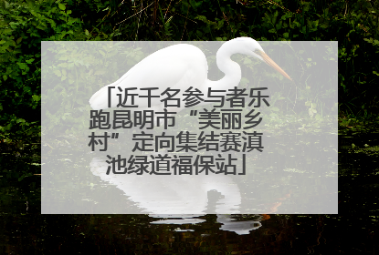 近千名参与者乐跑昆明市“美丽乡村”定向集结赛滇池绿道福保站