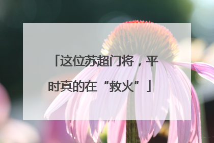 这位苏超门将，平时真的在“救火”