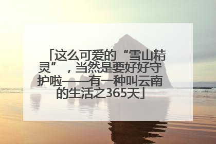 这么可爱的“雪山精灵”，当然是要好好守护啦——有一种叫云南的生活之365天