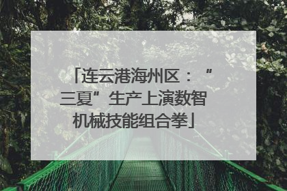 连云港海州区：“三夏”生产上演数智机械技能组合拳