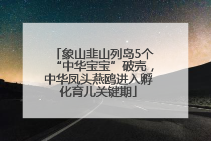 象山韭山列岛5个“中华宝宝”破壳，中华凤头燕鸥进入孵化育儿关键期