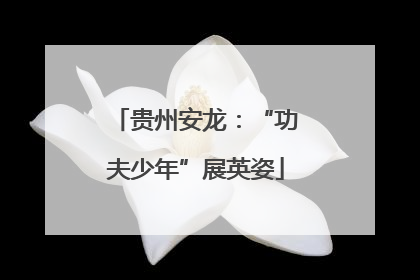 贵州安龙：“功夫少年”展英姿