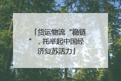货运物流“稳链”，托举起中国经济复苏活力