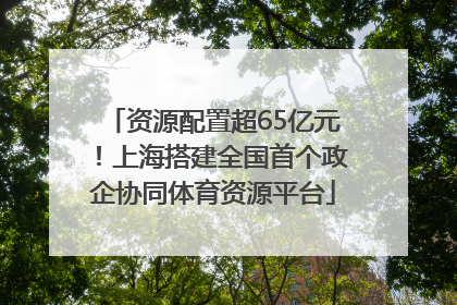 资源配置超65亿元！上海搭建全国首个政企协同体育资源平台