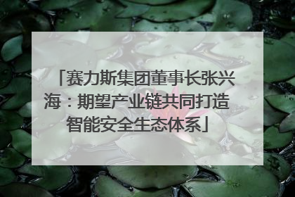 赛力斯集团董事长张兴海：期望产业链共同打造智能安全生态体系