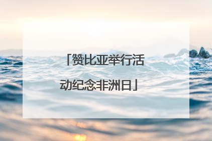 赞比亚举行活动纪念非洲日