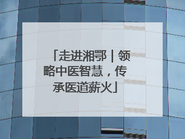 走进湘鄂｜领略中医智慧，传承医道薪火