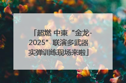 超燃 中柬“金龙-2025”联演多武器实弹训练现场来啦