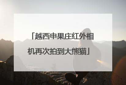 越西申果庄红外相机再次拍到大熊猫