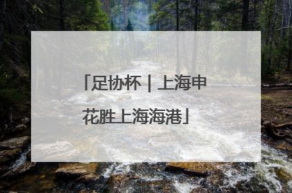 足协杯｜上海申花胜上海海港