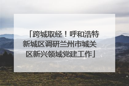 跨城取经！呼和浩特新城区调研兰州市城关区新兴领域党建工作
