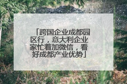 跨国企业成都园区行，意大利企业家忙着加微信，看好成都产业优势