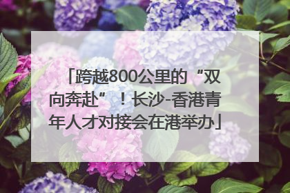 跨越800公里的“双向奔赴”！长沙-香港青年人才对接会在港举办