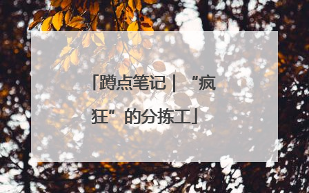 蹲点笔记｜“疯狂”的分拣工