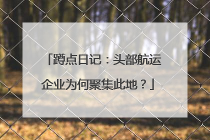 蹲点日记：头部航运企业为何聚集此地？