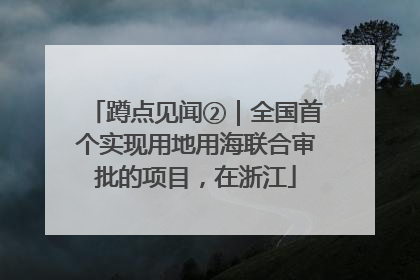 蹲点见闻②｜全国首个实现用地用海联合审批的项目，在浙江