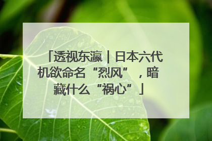 透视东瀛｜日本六代机欲命名“烈风”，暗藏什么“祸心”