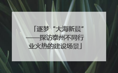 逐梦“大海新晨”——探访泰州不同行业火热的建设场景