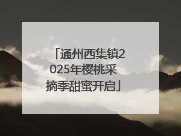 通州西集镇2025年樱桃采摘季甜蜜开启