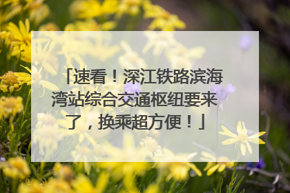 速看！深江铁路滨海湾站综合交通枢纽要来了，换乘超方便！