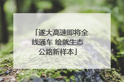 遂大高速即将全线通车 绘就生态公路新样本