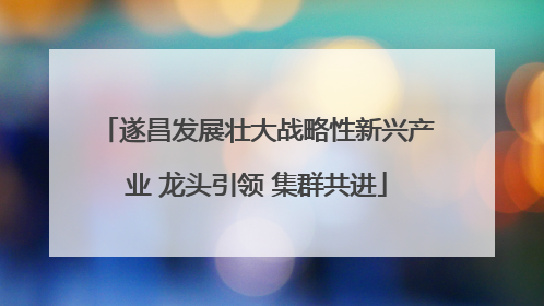 遂昌发展壮大战略性新兴产业 龙头引领 集群共进