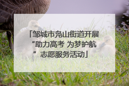 邹城市凫山街道开展“助力高考 为梦护航”志愿服务活动