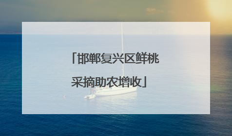 邯郸复兴区鲜桃采摘助农增收