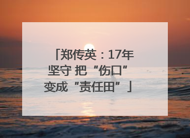 郑传英：17年坚守 把“伤口”变成“责任田”