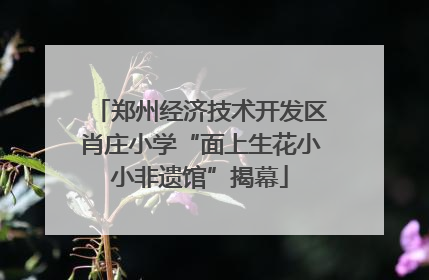 郑州经济技术开发区肖庄小学“面上生花小小非遗馆”揭幕