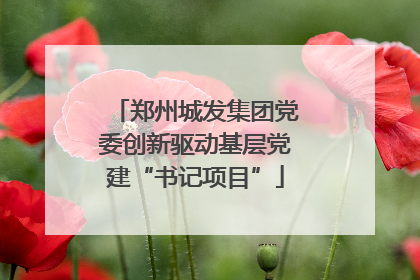 郑州城发集团党委创新驱动基层党建“书记项目”