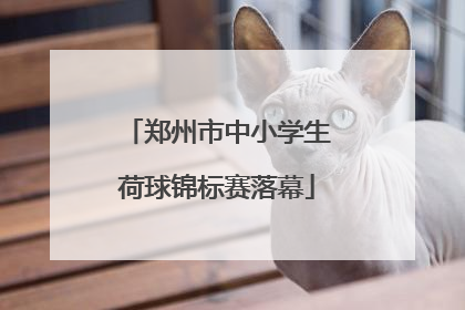 郑州市中小学生荷球锦标赛落幕