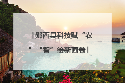 郧西县科技赋“农”“智”绘新画卷