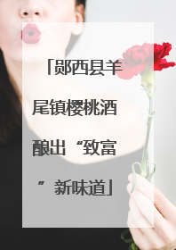 郧西县羊尾镇樱桃酒酿出“致富”新味道