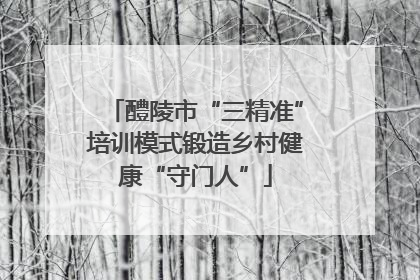 醴陵市“三精准”培训模式锻造乡村健康“守门人”