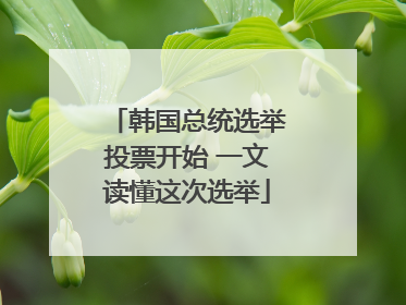 韩国总统选举投票开始 一文读懂这次选举