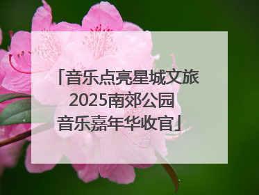 音乐点亮星城文旅 2025南郊公园音乐嘉年华收官