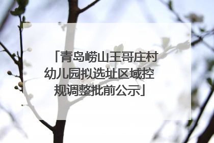 青岛崂山王哥庄村幼儿园拟选址区域控规调整批前公示