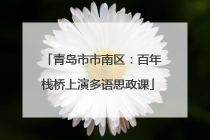 青岛市市南区：百年栈桥上演多语思政课