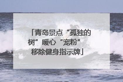 青岛景点“孤独的树”暖心“宠粉” 移除健身指示牌