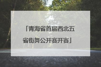青海省首届西北五省街舞公开赛开赛