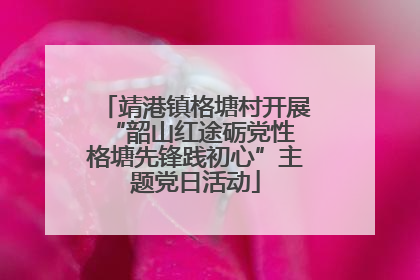 靖港镇格塘村开展“韶山红途砺党性 格塘先锋践初心”主题党日活动