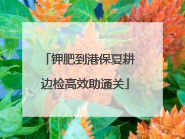 钾肥到港保夏耕 边检高效助通关