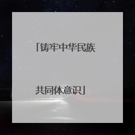 铸牢中华民族共同体意识